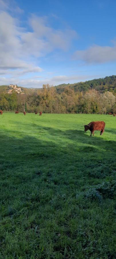 Le Cocon Beaujolais * Chatillon (Rhone-Alps)