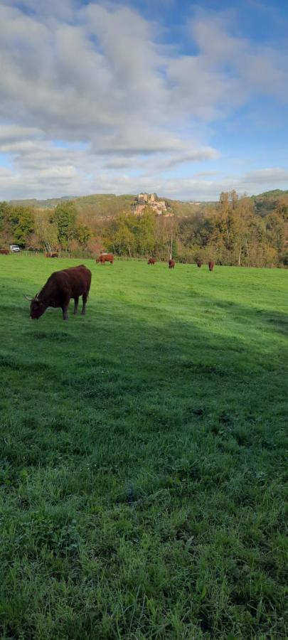 Le Cocon Beaujolais Hébergement de vacances *